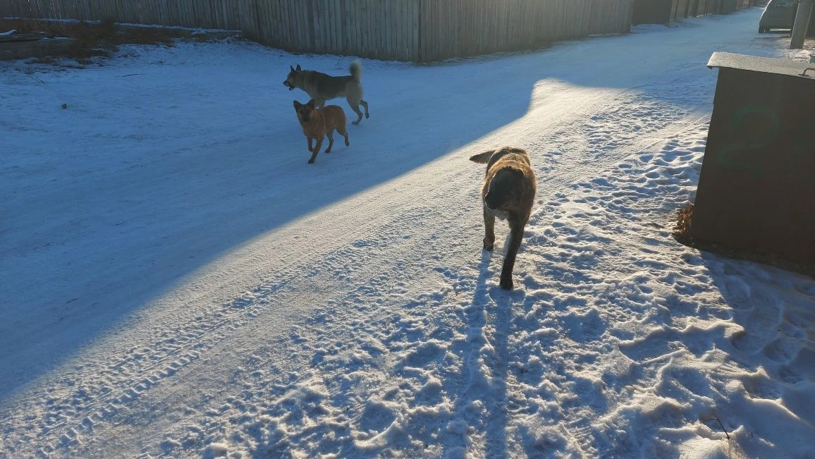 Уважаемые жители массива ИЗУМРУД! 